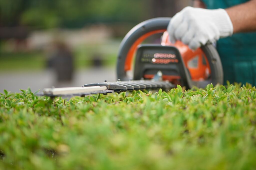 Hedge cutting