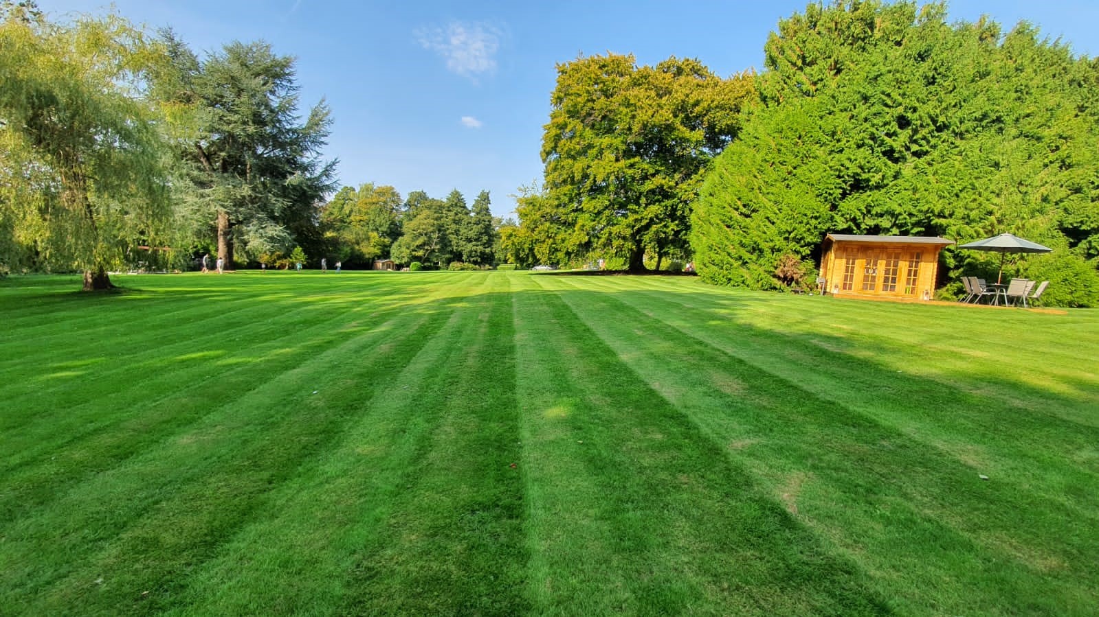 Grass cutting