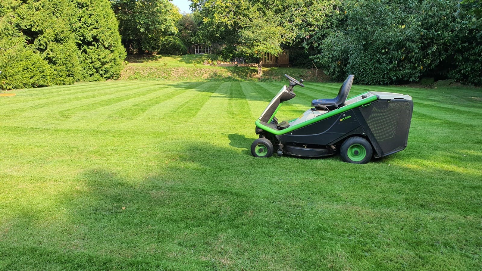 Mowing the grass